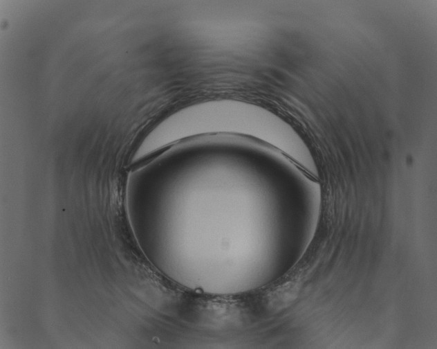 X0000089660420200707121204