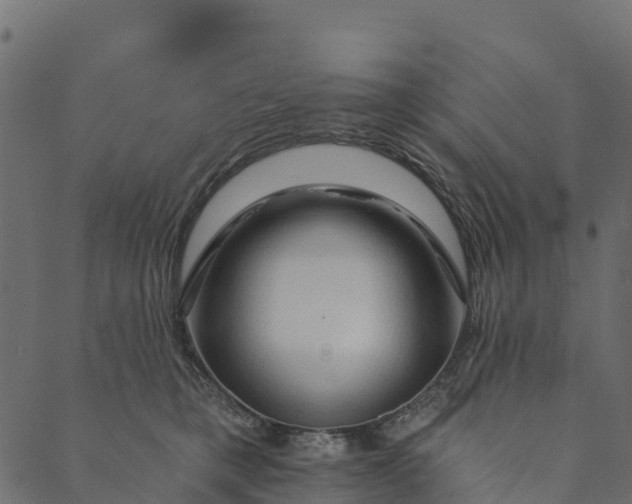 X0000089660421200707121204