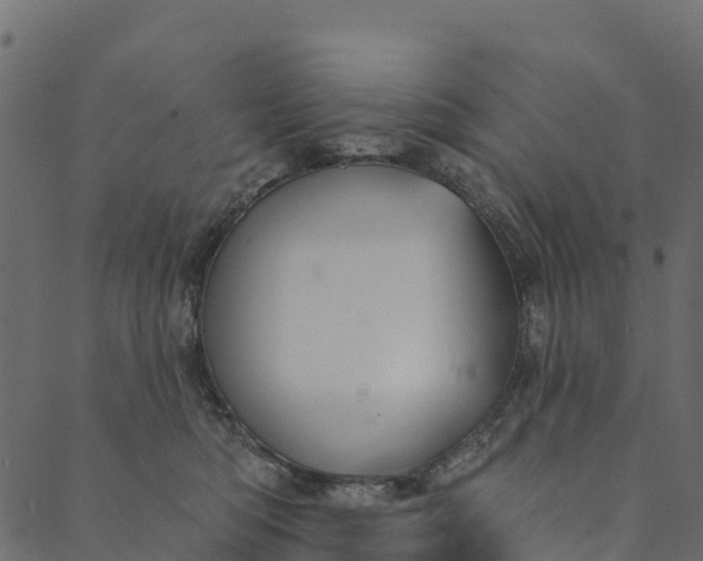 X0000089660422200707121204