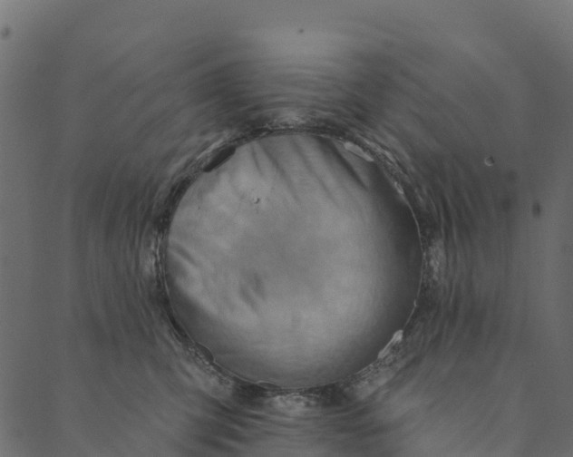 X0000089660423200707121204