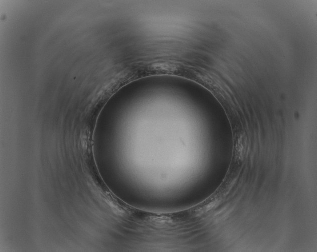 X0000089660424200707121203