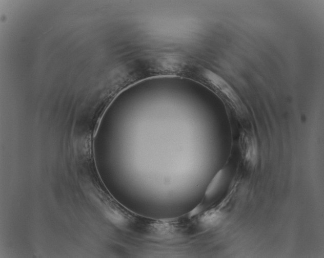 X0000089660425200707121203