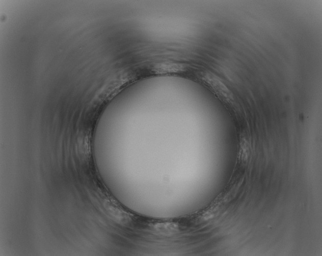 X0000089660426200707121203