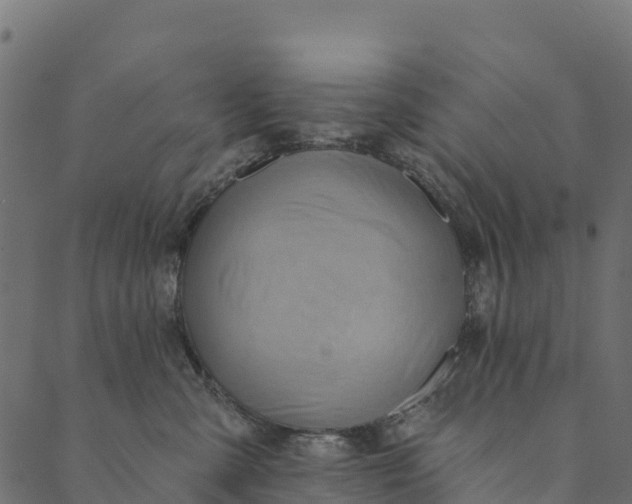 X0000089660427200707121203