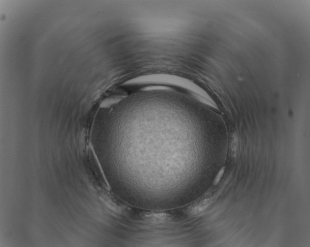 X0000089660428200707121203