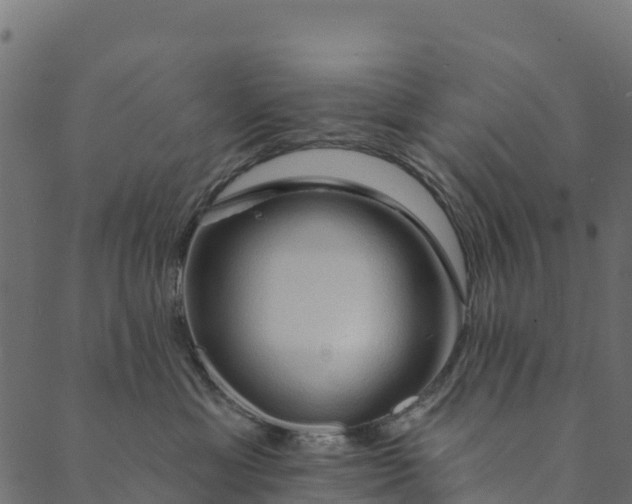 X0000089660429200707121203