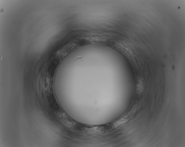 X0000089660430200707121203