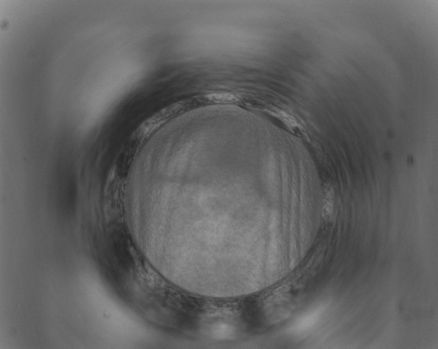 X0000089660431200707121203