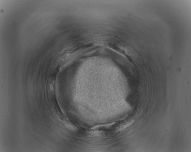 X0000089660432200707121203