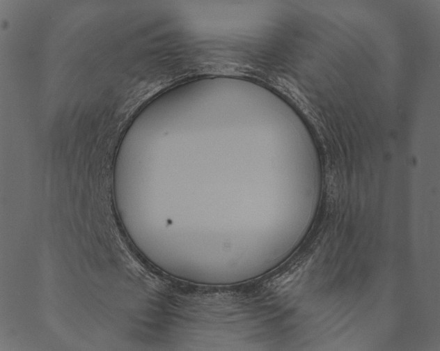 X0000089660433200707121203