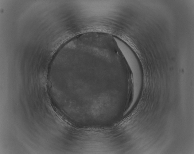 X0000089660434200707121203