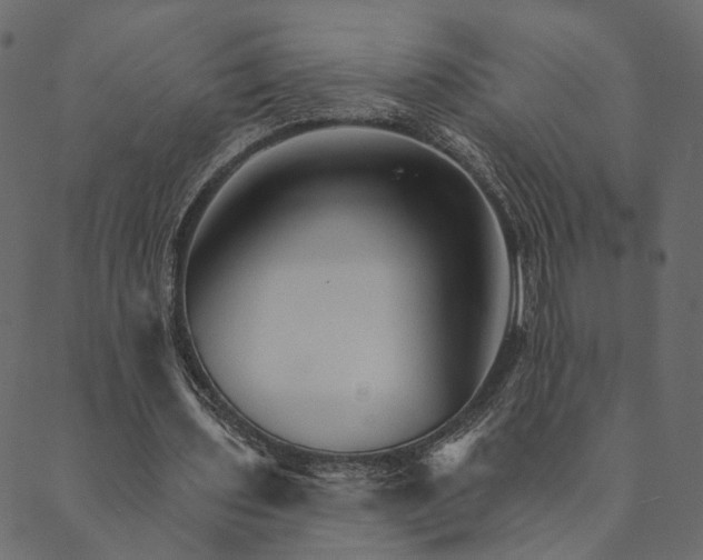 X0000089660435200707121203