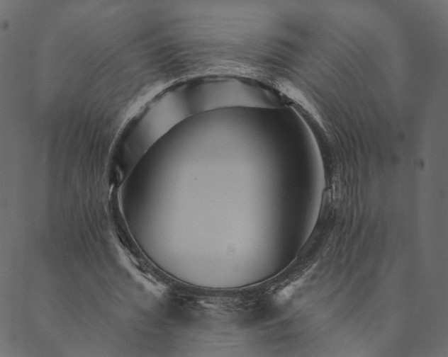 X0000089660436200707121203