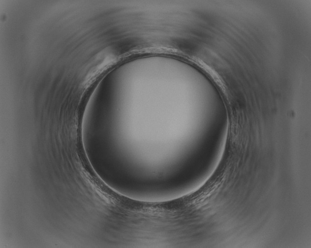 X0000089660437200707121203