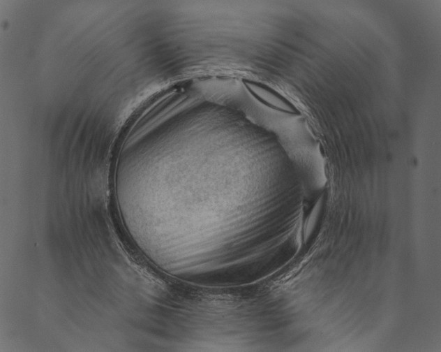 X0000089660438200707121203