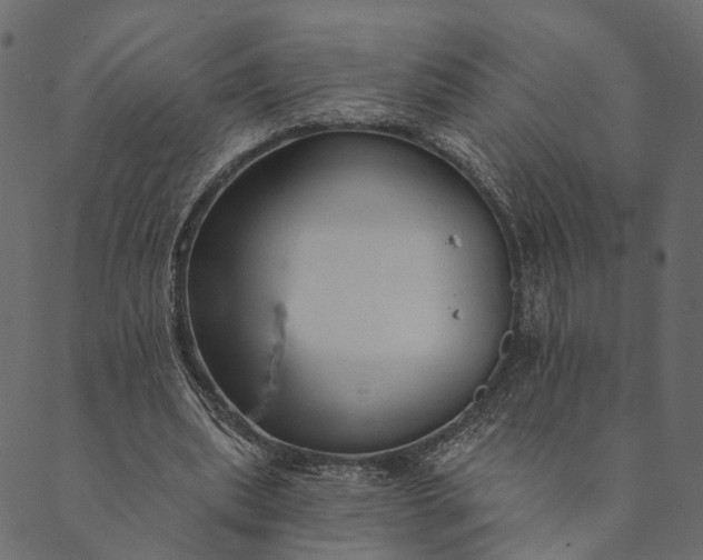 X0000089660439200707121203