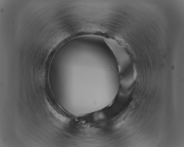 X0000089660440200707121203