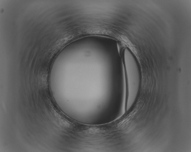 X0000089660441200707121203