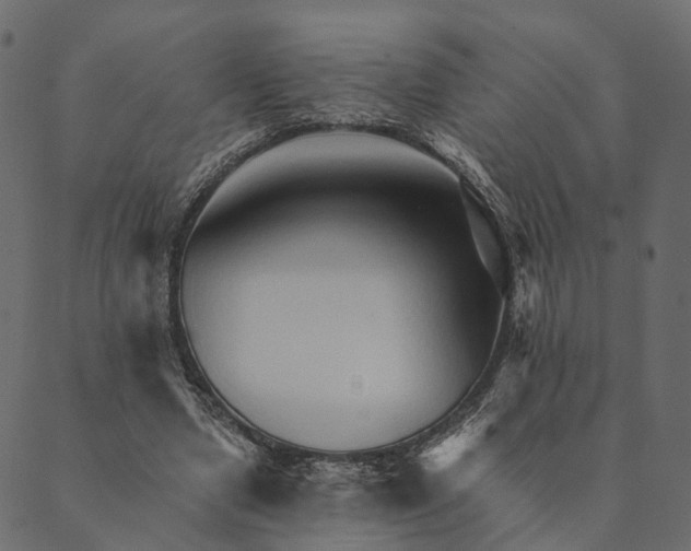 X0000089660442200707121203