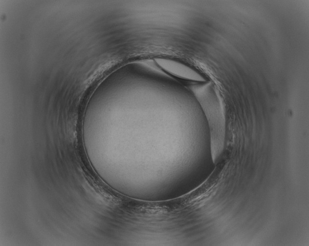 X0000089660443200707121203