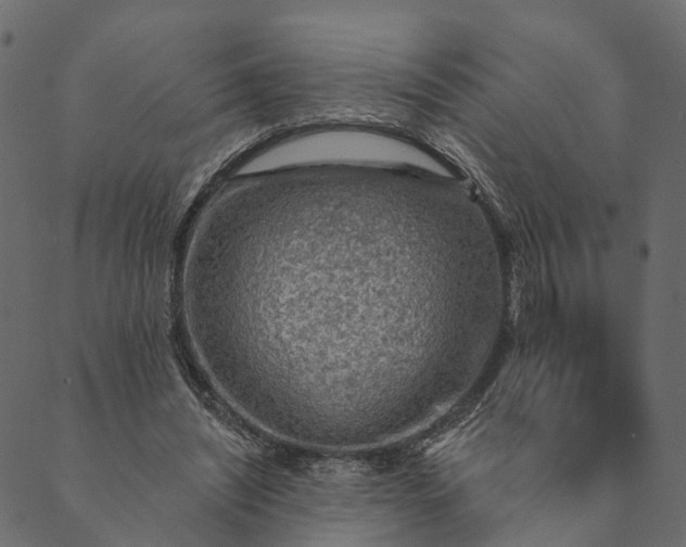 X0000089660444200707121203