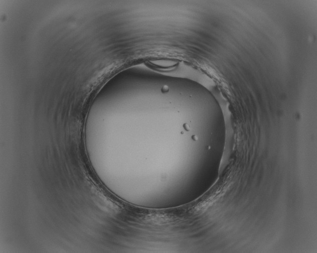 X0000089660445200707121203