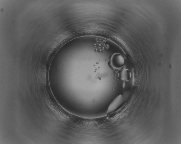 X0000089660446200707121203