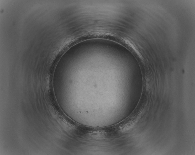 X0000089660447200707121203