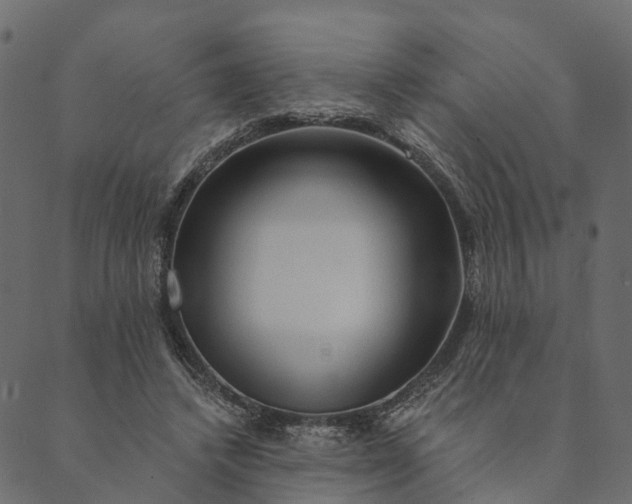 X0000089660448200707121203