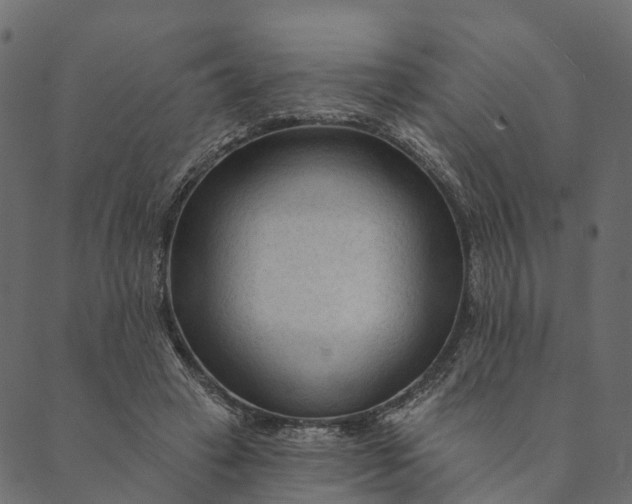 X0000089660449200707121203