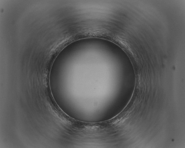 X0000089660450200707121203