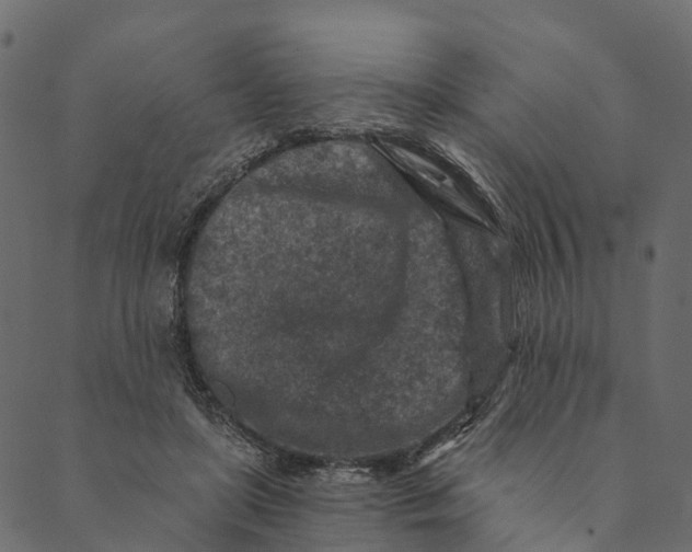 X0000089660451200707121203