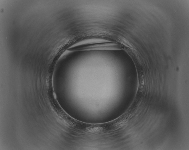 X0000089660452200707121203