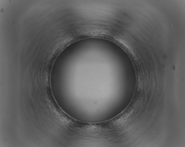 X0000089660453200707121203