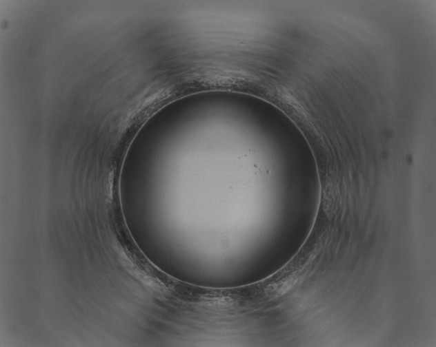 X0000089660454200707121203