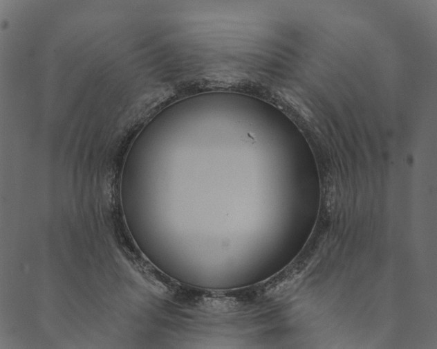 X0000089660455200707121203