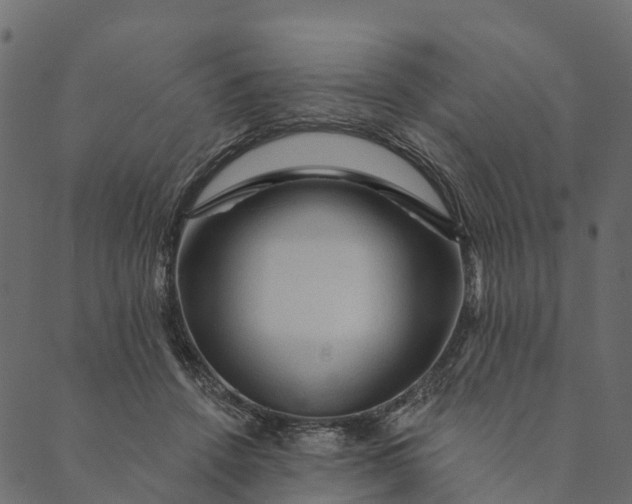 X0000089660456200707121203