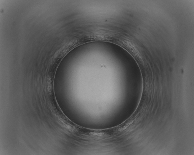 X0000089660457200707121203