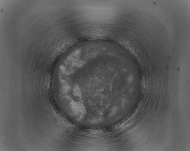 X0000089660458200707121203