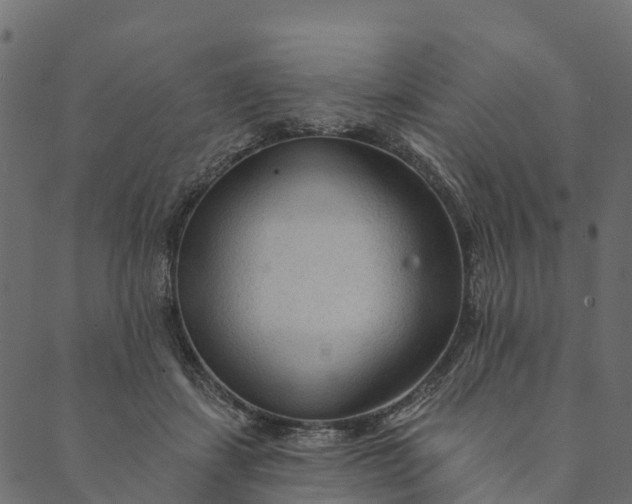 X0000089660459200707121203