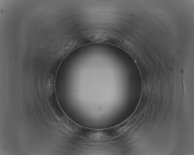 X0000089660460200707121203