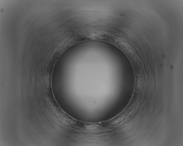 X0000089660461200707121203