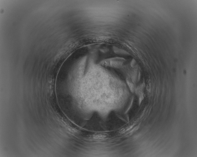 X0000089660462200707121203