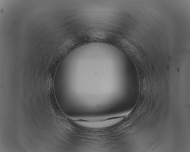 X0000089660463200707121203