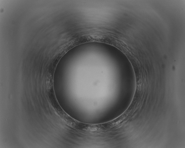 X0000089660464200707121203