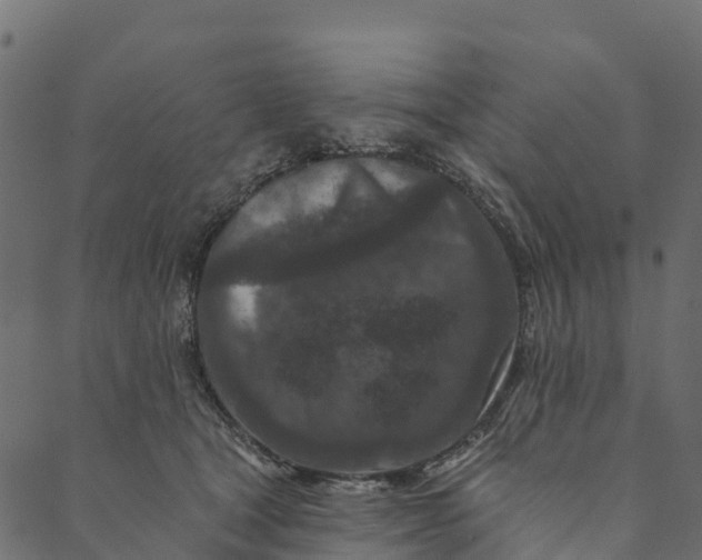 X0000089660465200707121203