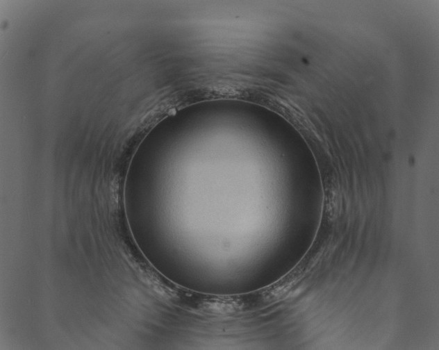 X0000089660466200707121203