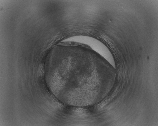 X0000089660467200707121203