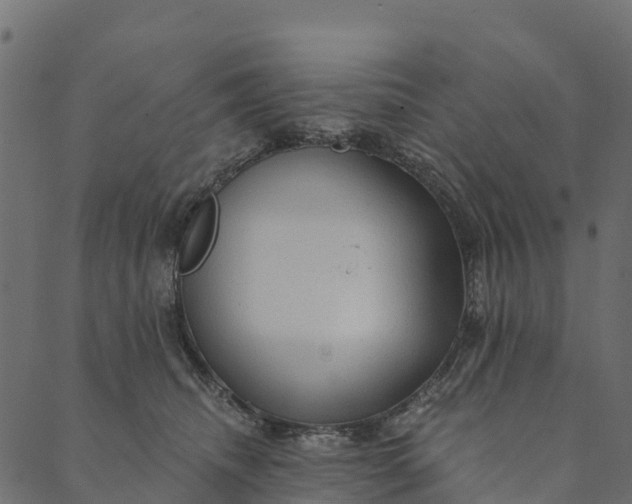 X0000089660468200707121203