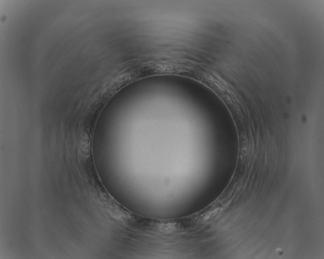 X0000089660469200707121203